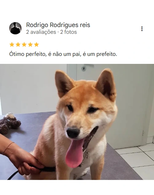 Avaliação real de tutor sobre o Saúde Animal