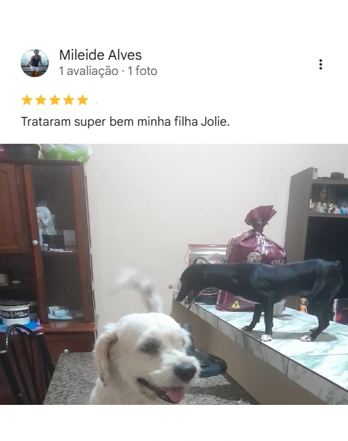 Avaliação real de tutor sobre o Saúde Animal