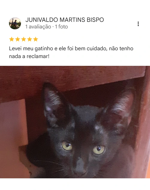 Avaliação real de tutor sobre o Saúde Animal