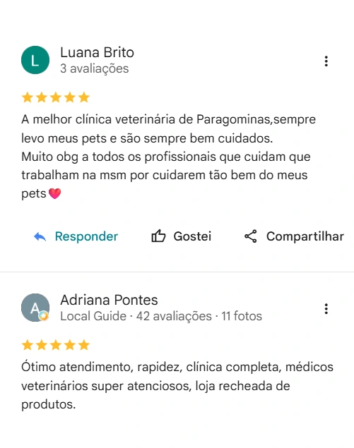 Avaliação real de tutor sobre o Saúde Animal